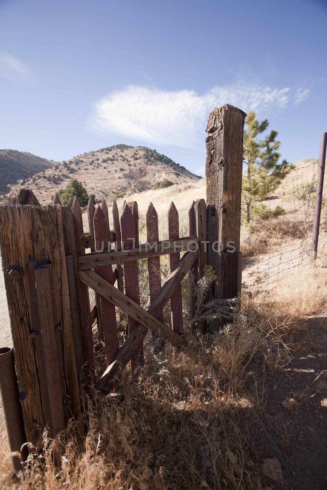 Old western cemetery