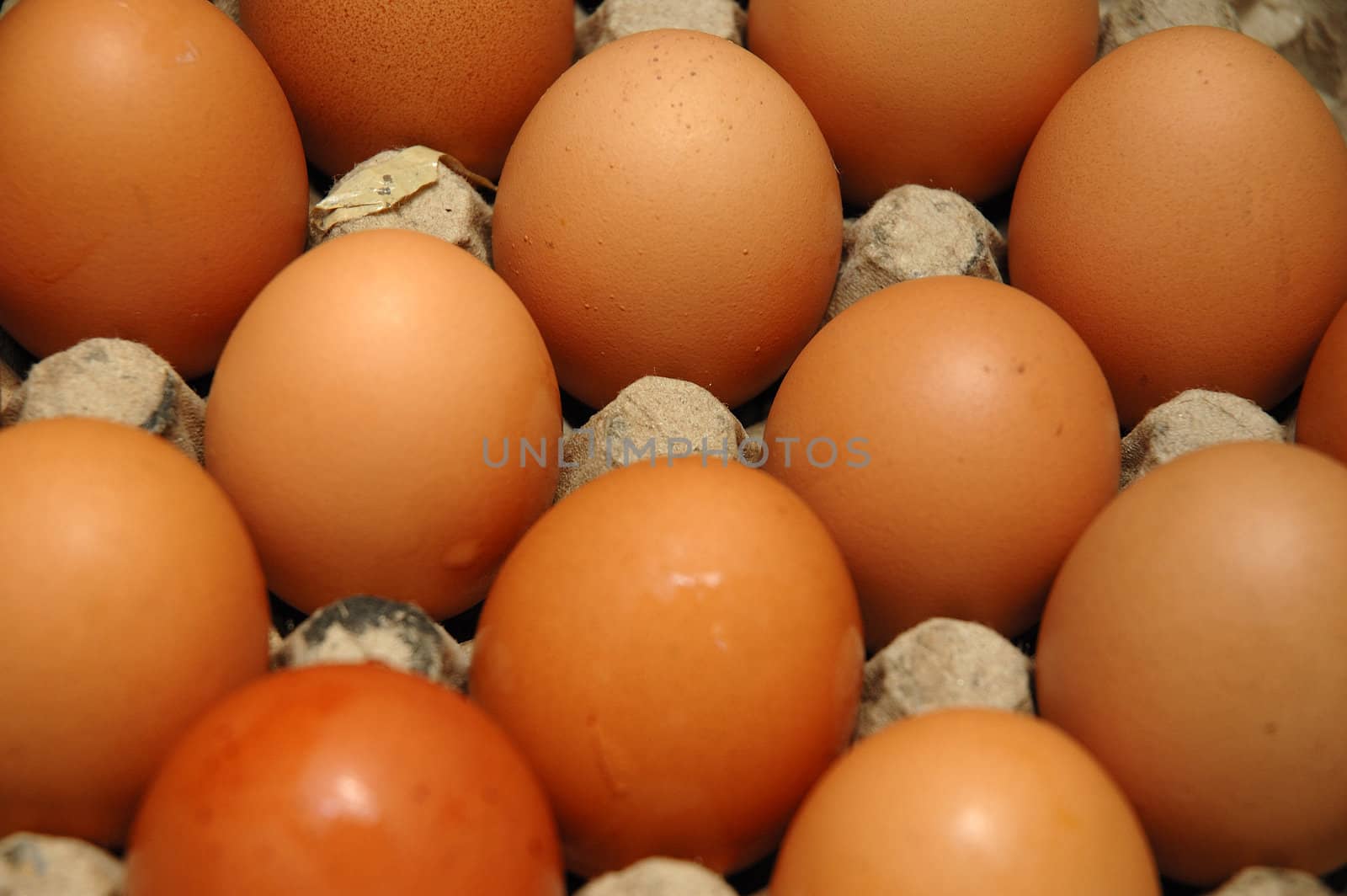 egg that contain a good nutrition for body