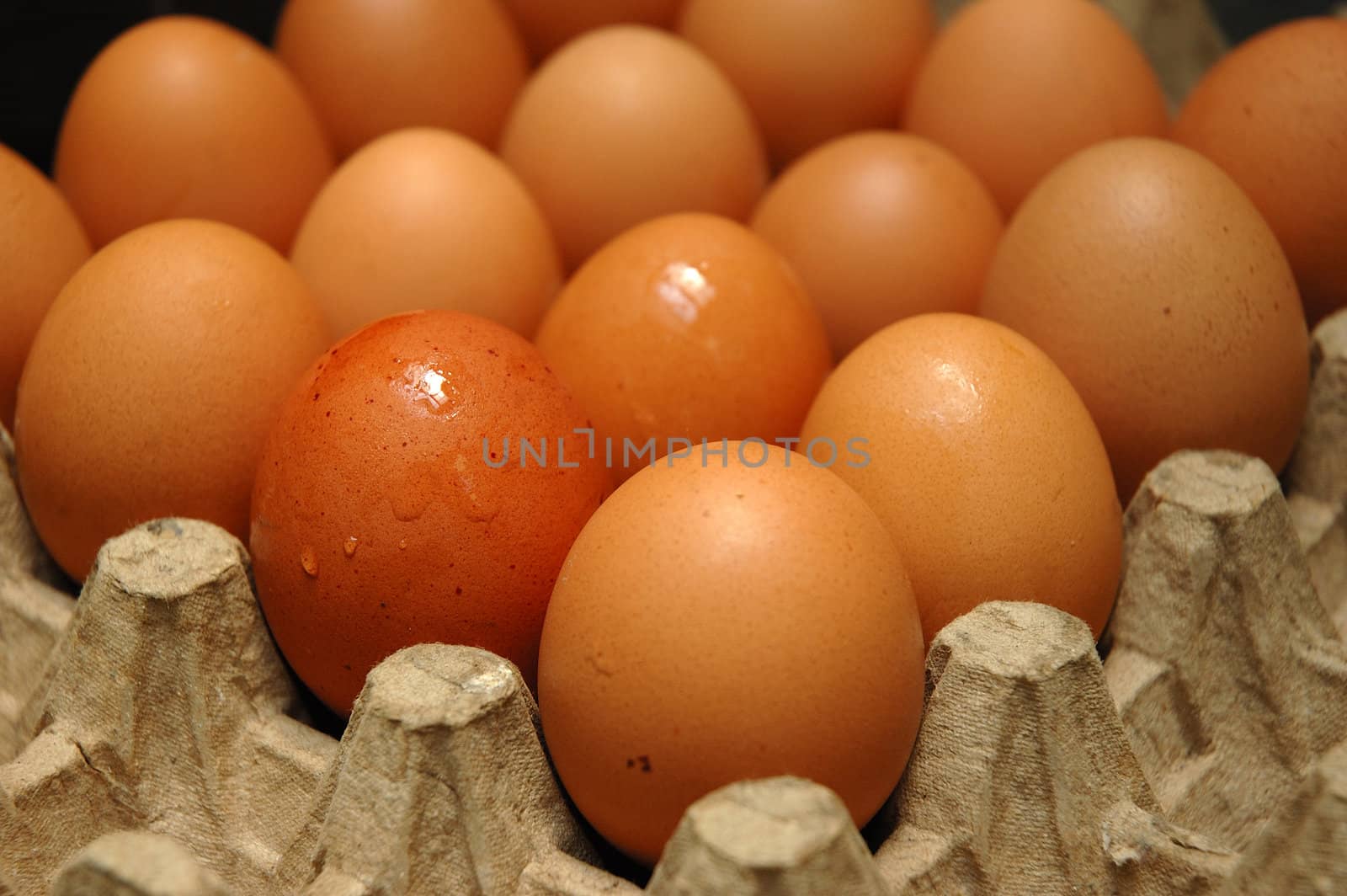 egg that contain a good nutrition for body