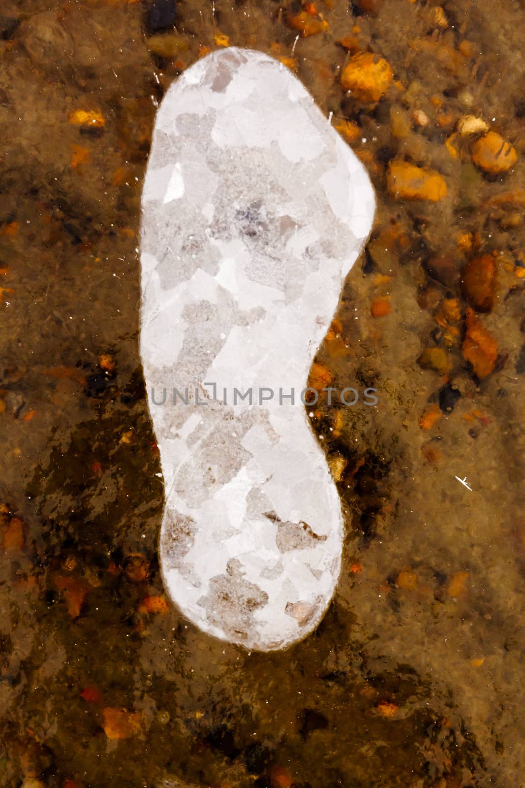 Air bubbles and cracks in thick layer of crystal clear ice over gravel bottom.