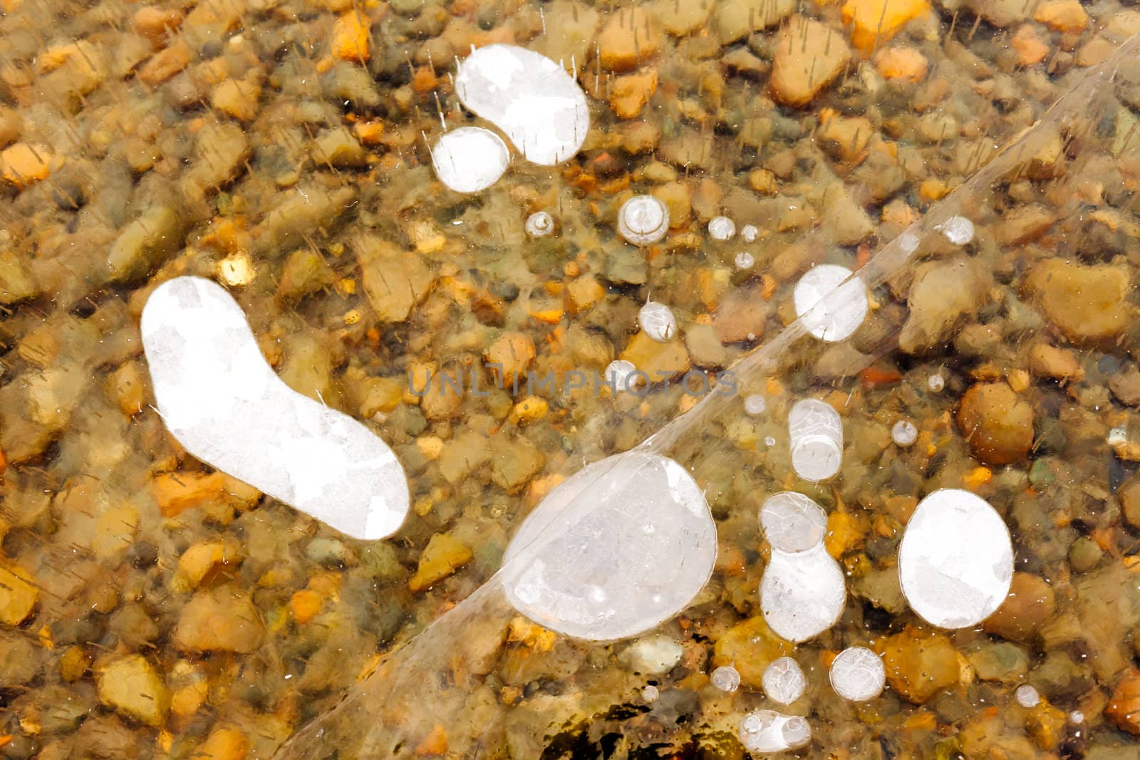 Air bubbles and cracks in thick layer of crystal clear ice over gravel bottom.