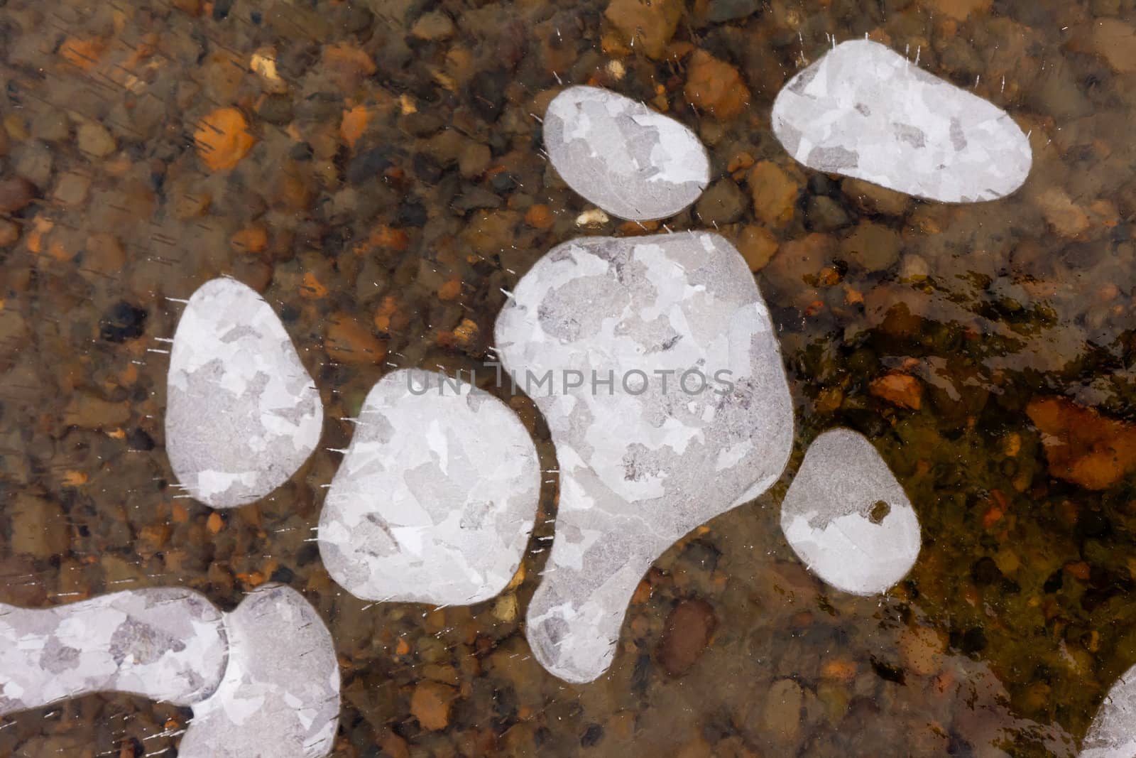 Air bubbles and cracks in thick layer of crystal clear ice over gravel bottom.