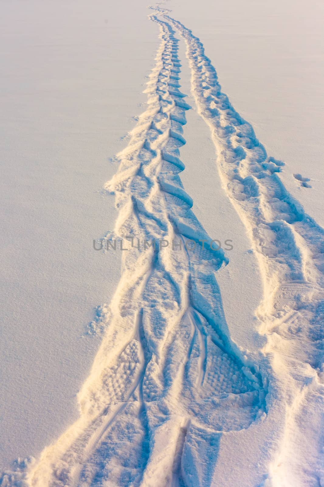 Snowshoe prints forming a trail in untouched powder sow surface coming from far away.