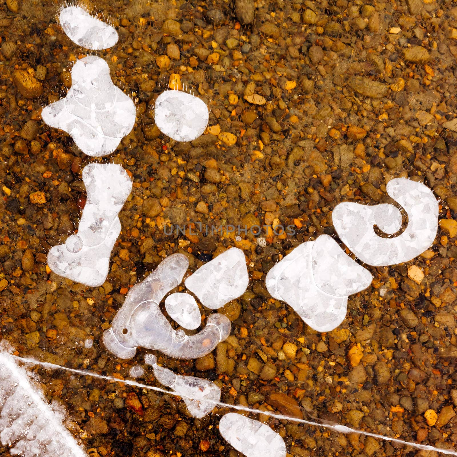 Air bubbles and cracks in thick layer of crystal clear ice over gravel bottom.