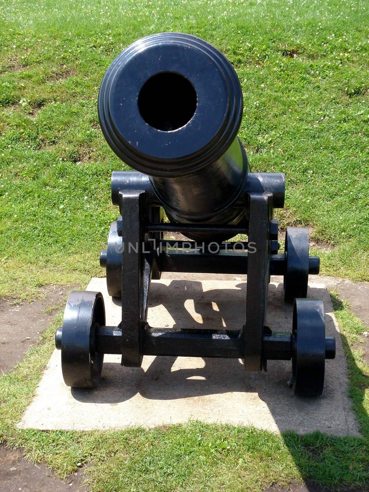 Black cannon on four wheels viewed from the front surrounded by green grass
