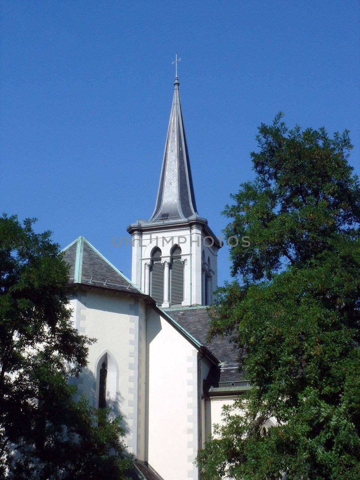 Bell-tower of white protestant church behind trees by beautiful weather