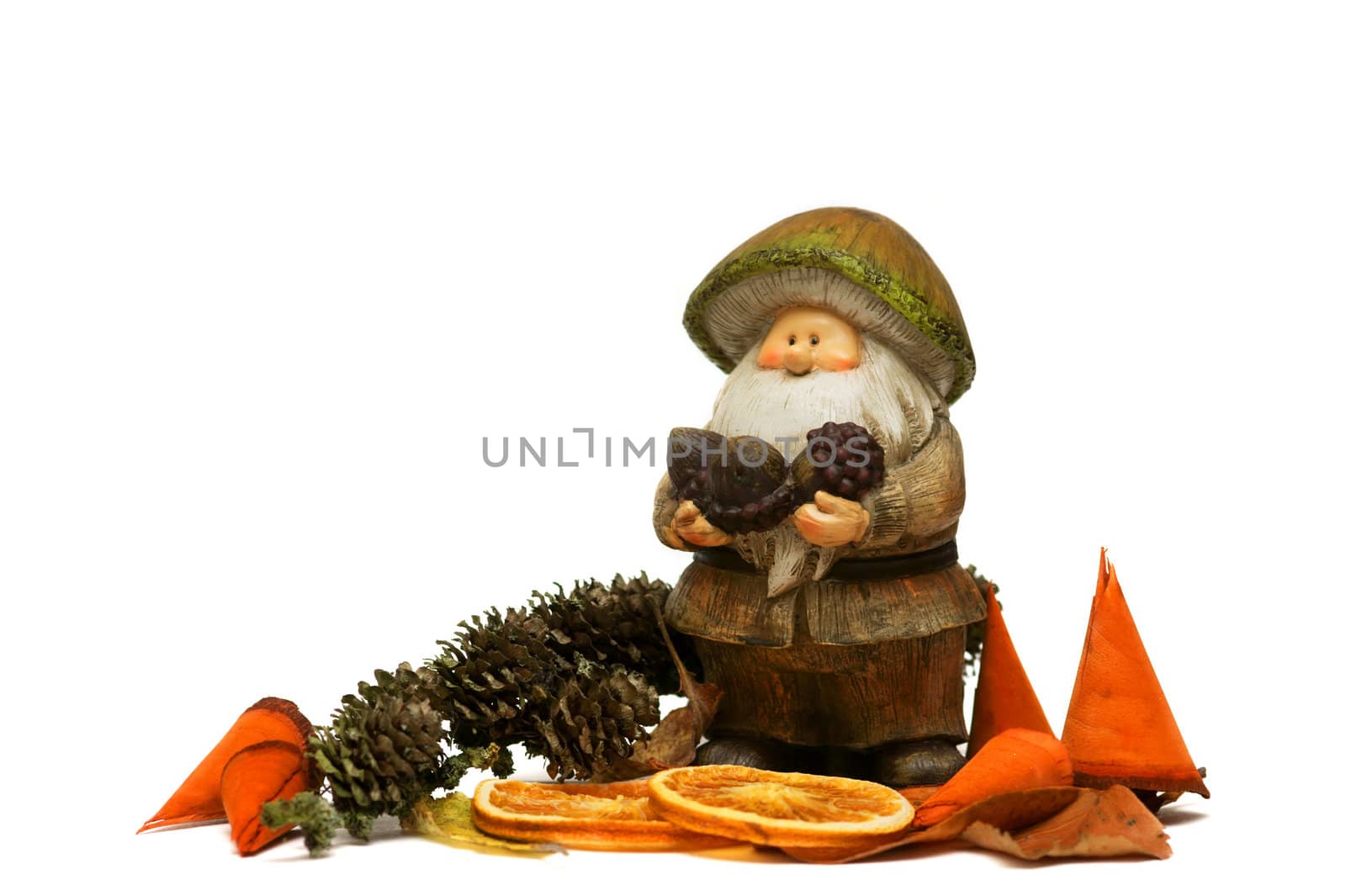 a dwarf in a autumn atmosphere