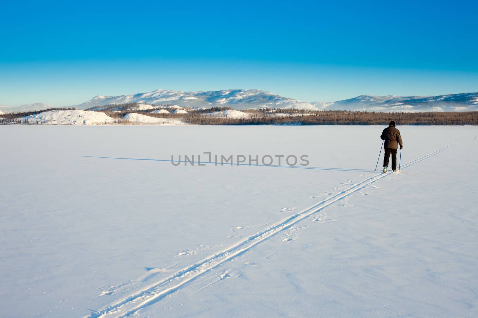 Beautiful cold winter day takes cross-country skiing person out having fun in ski tracks.
