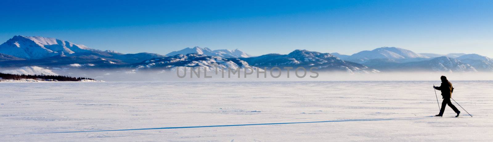 Cross-Country Skier long shadow by PiLens