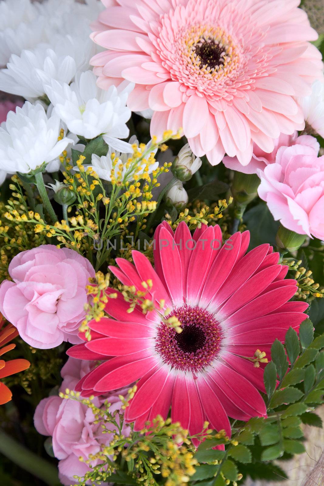 The big bouquet with chrysanthemums suitable for a celebratory card