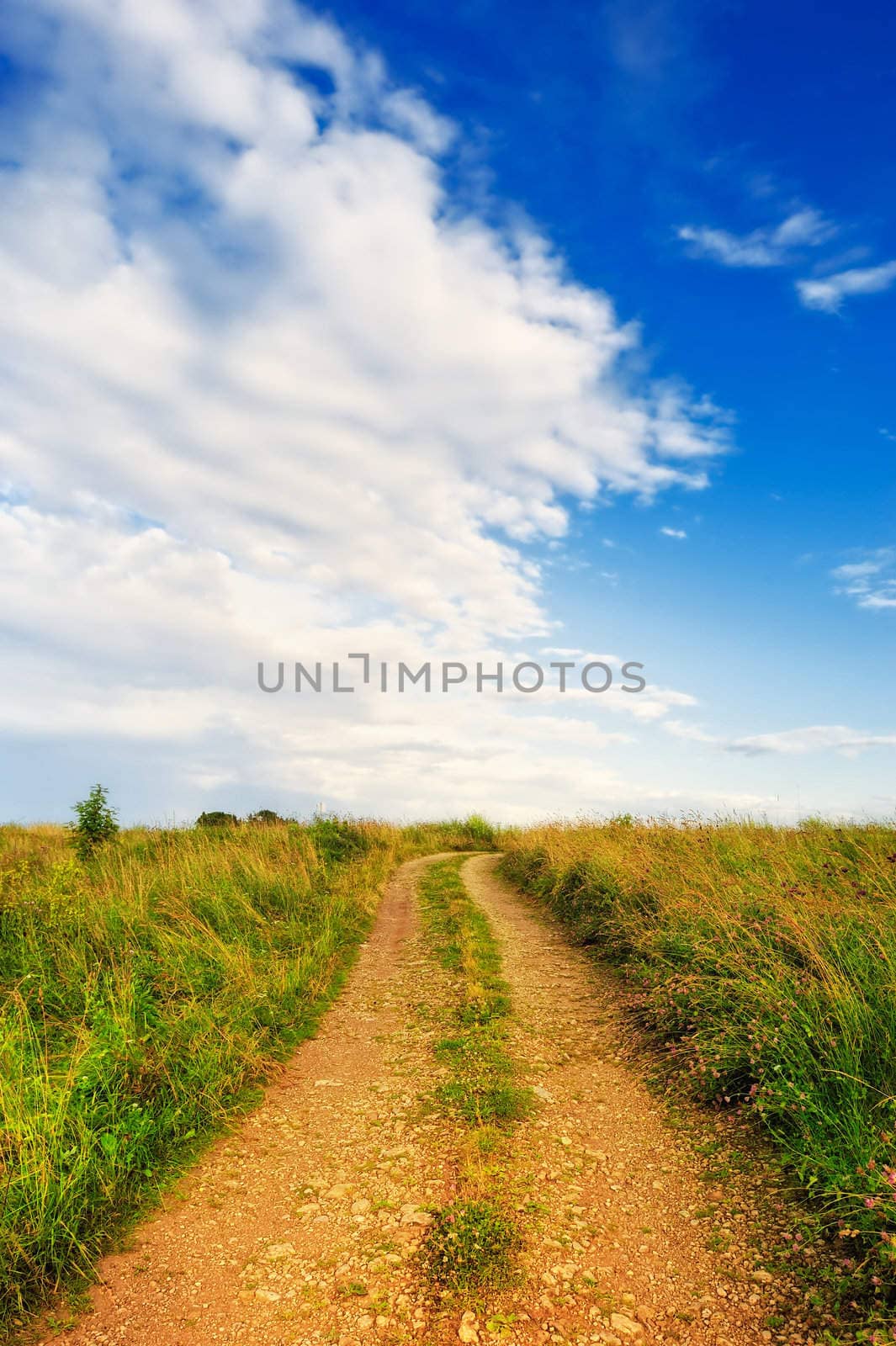 Straight road across meadow in the village