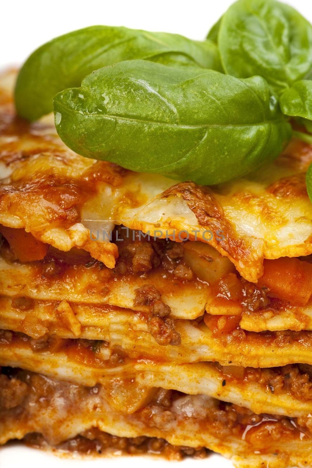 closeup of a lasagna dish with a basil leaf