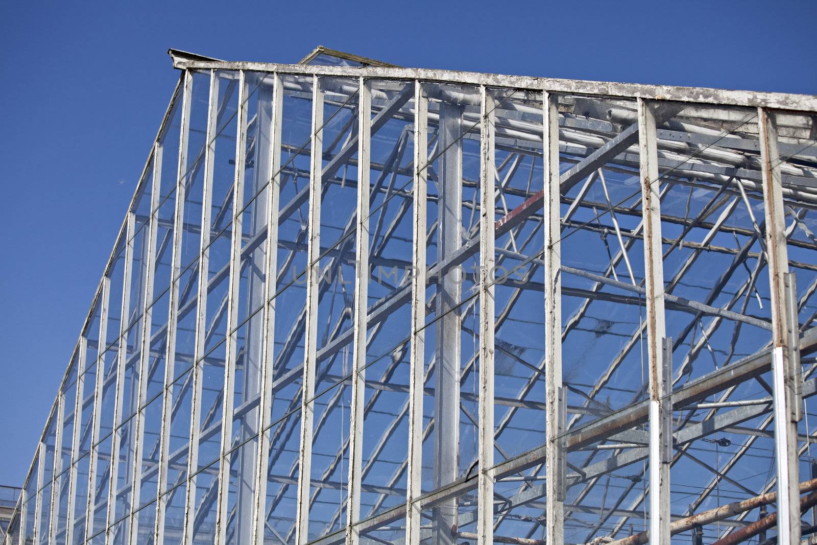 detail of a decaying greenhouse by bernjuer