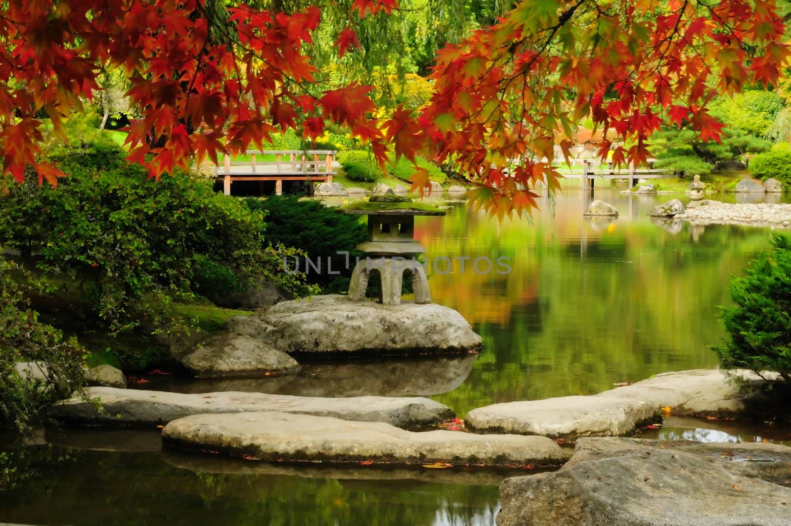 Beautiful Japanese Garden in autumn by neelsky