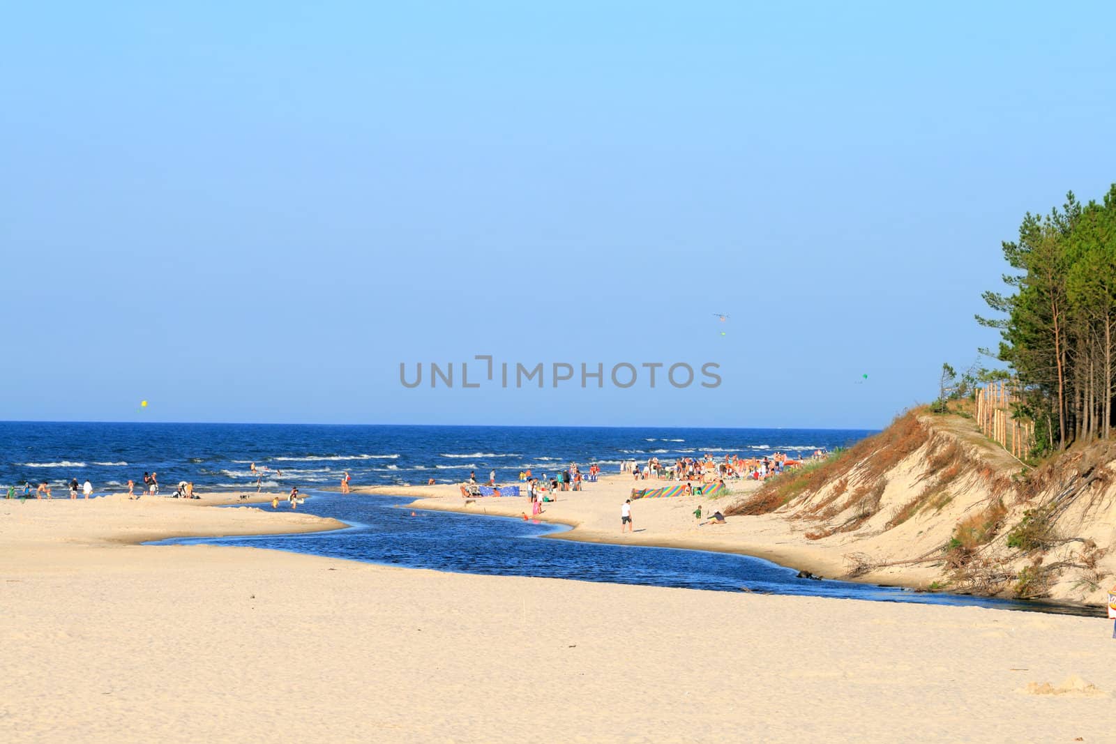 River and a cliff on the seashore
