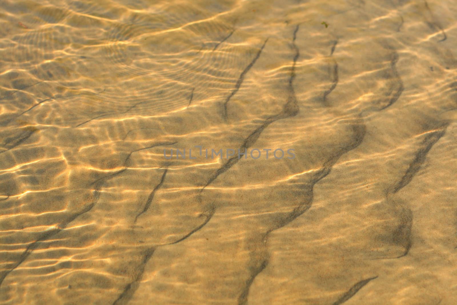 Rippled sand in the ocean
