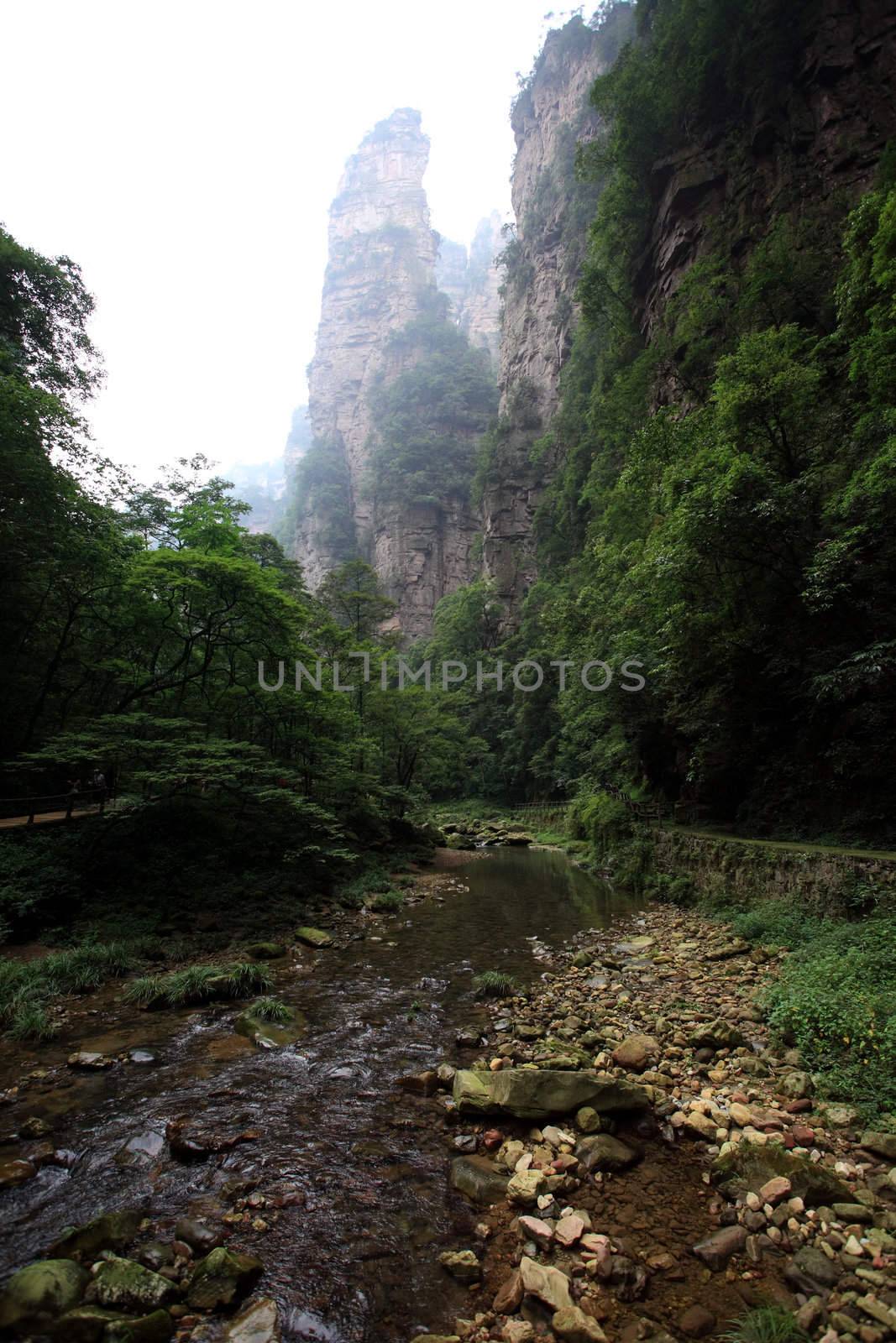 The scenery of the first China national forest park - Zhangjiajie, A world nature heritage site