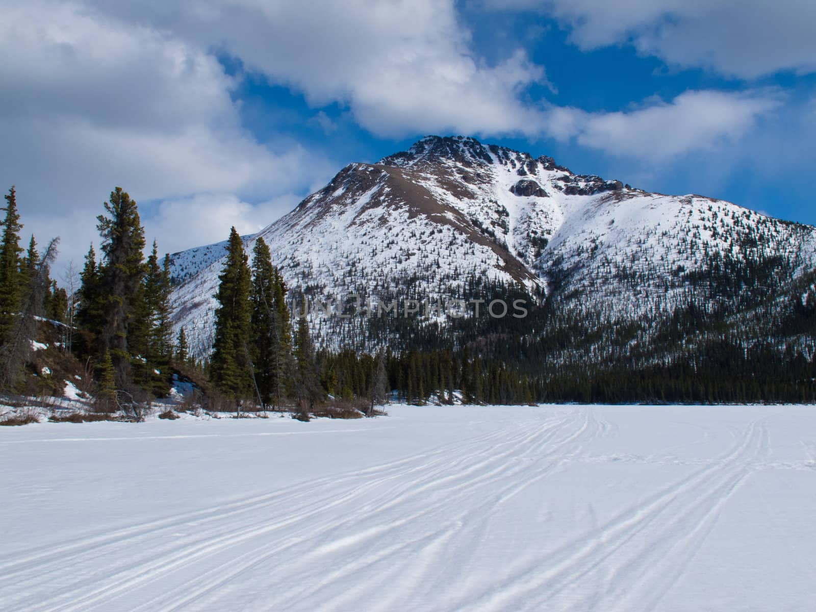 Ski-doo track on windblown snowy surface of frozen mountain lake in winter wonderland of Yukon Territory, Canada