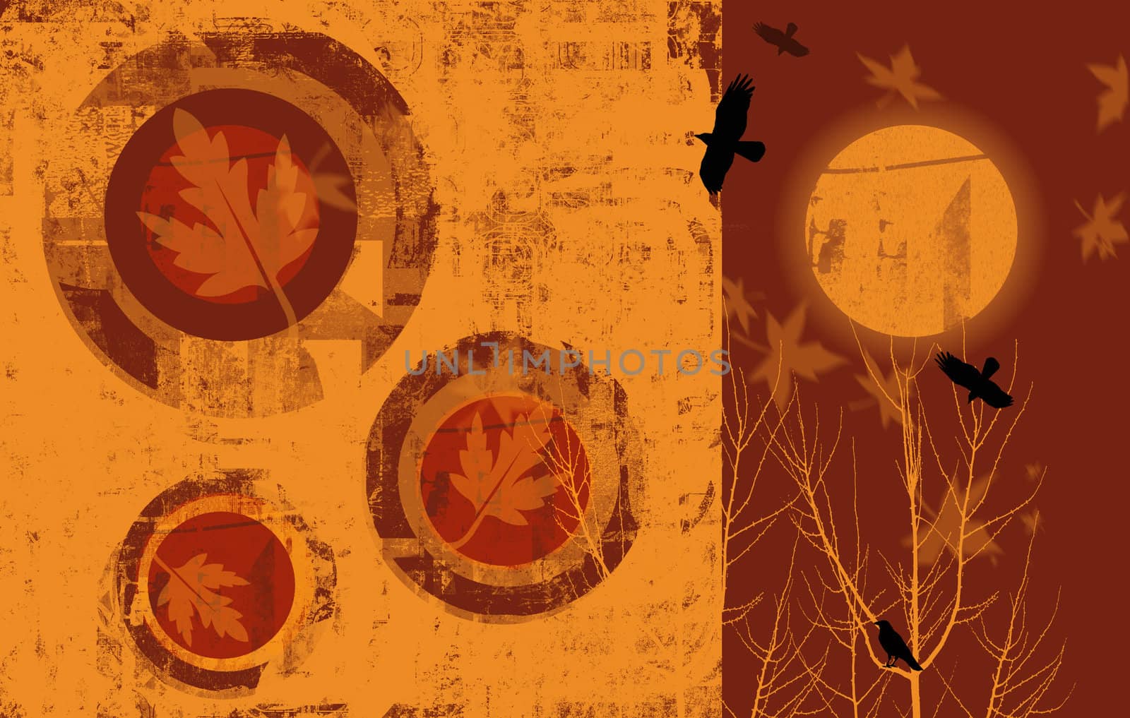 A landscape format image of an autumnal scene with grunge style abstract patterns, autumn leaves and black crows, with an abstract sun set.