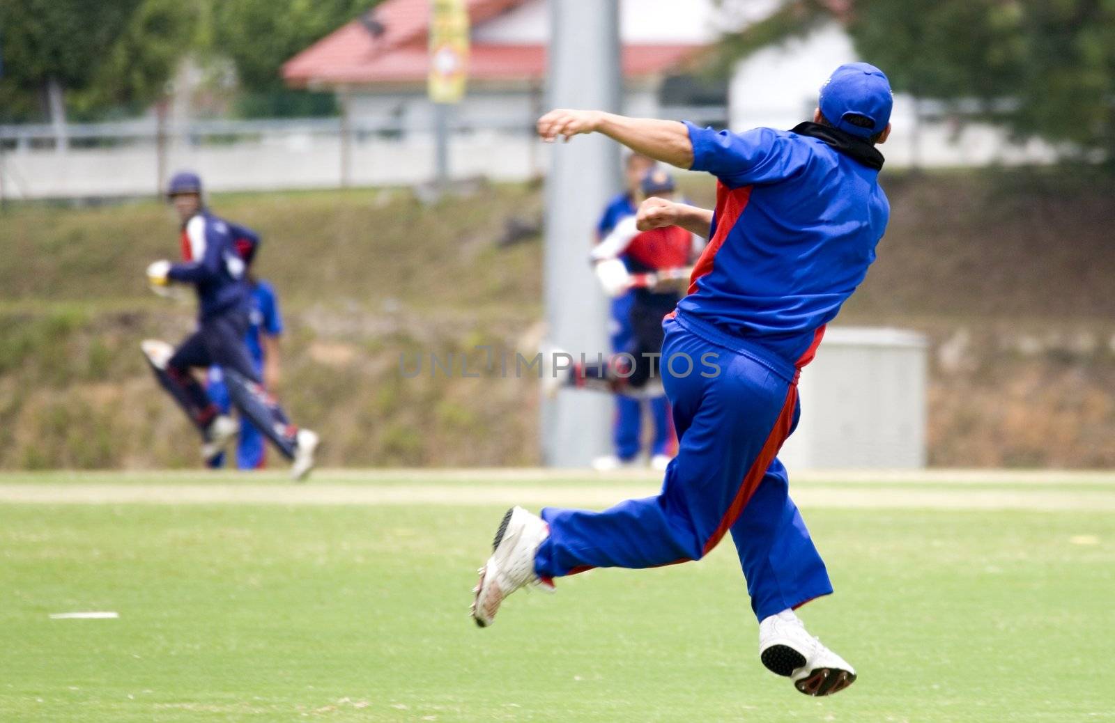 Cricket game fielder in action.