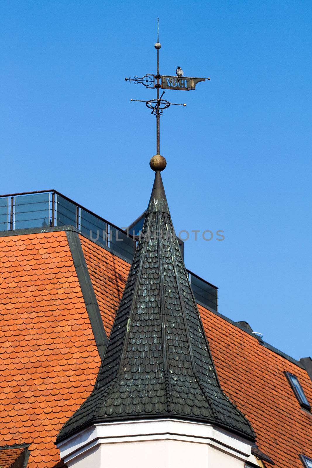 Weather vane by ints