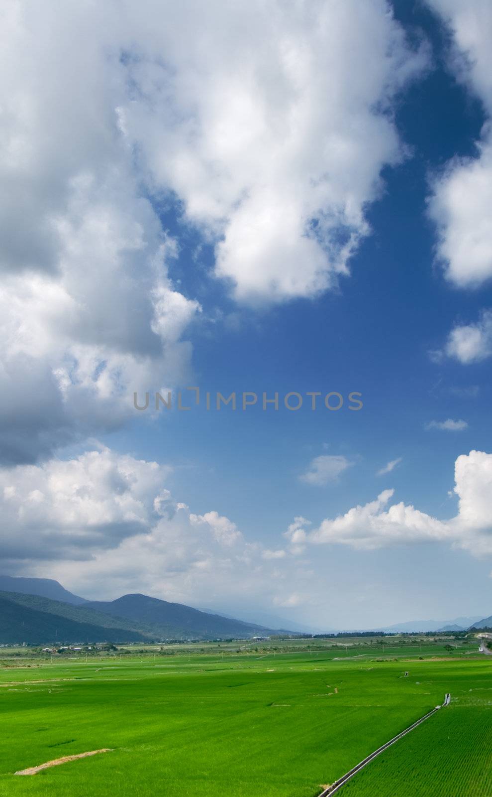 It is a beautiful landscape of green farm with blue sky and white clouds.