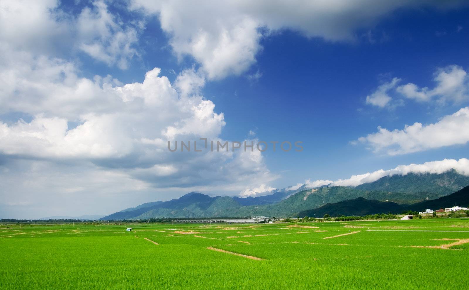 It is a beautiful landscape of green farm with blue sky and white clouds.