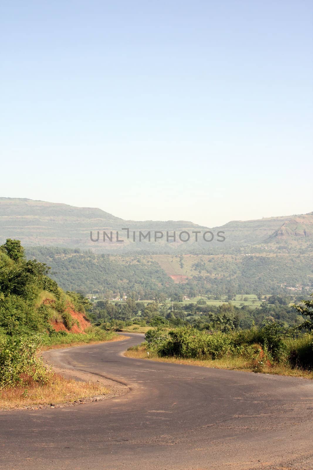 A view of a winding road in the Indian tropics.