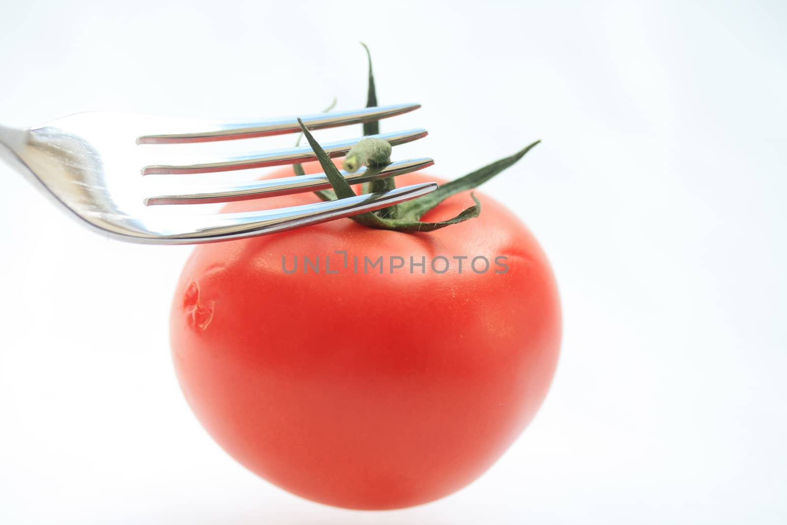 tomato by studioportosabbia