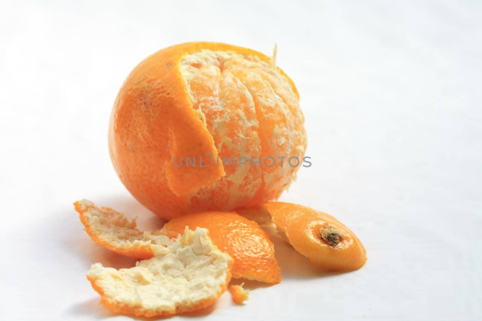 fresh juicy mandarine