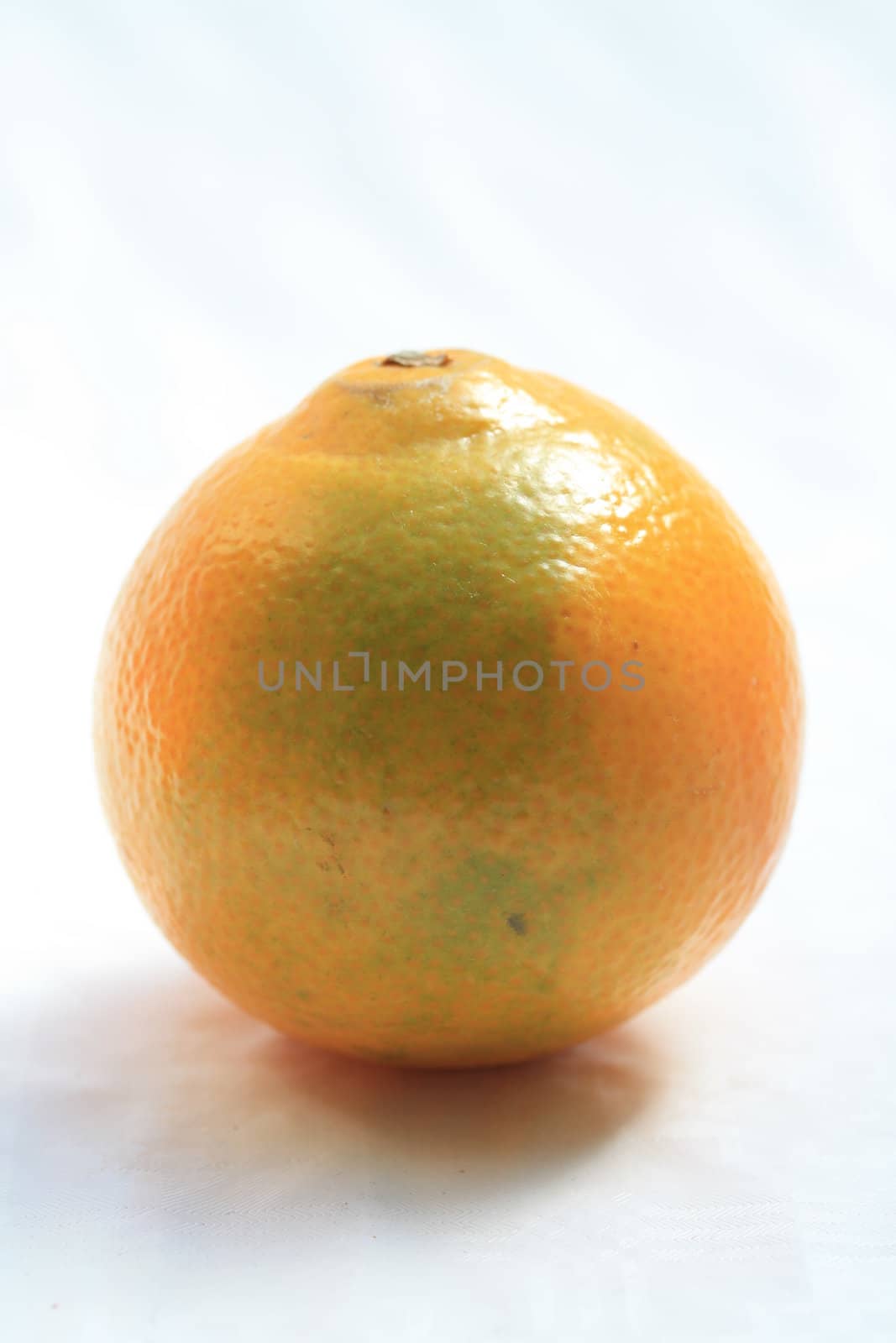 fresh juicy mandarine