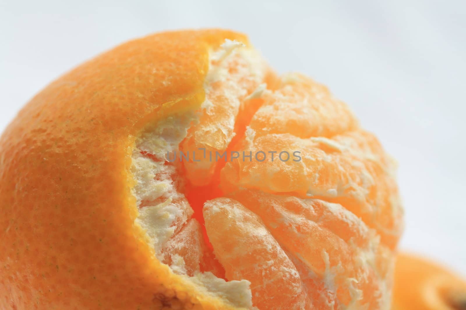 mandarine by studioportosabbia