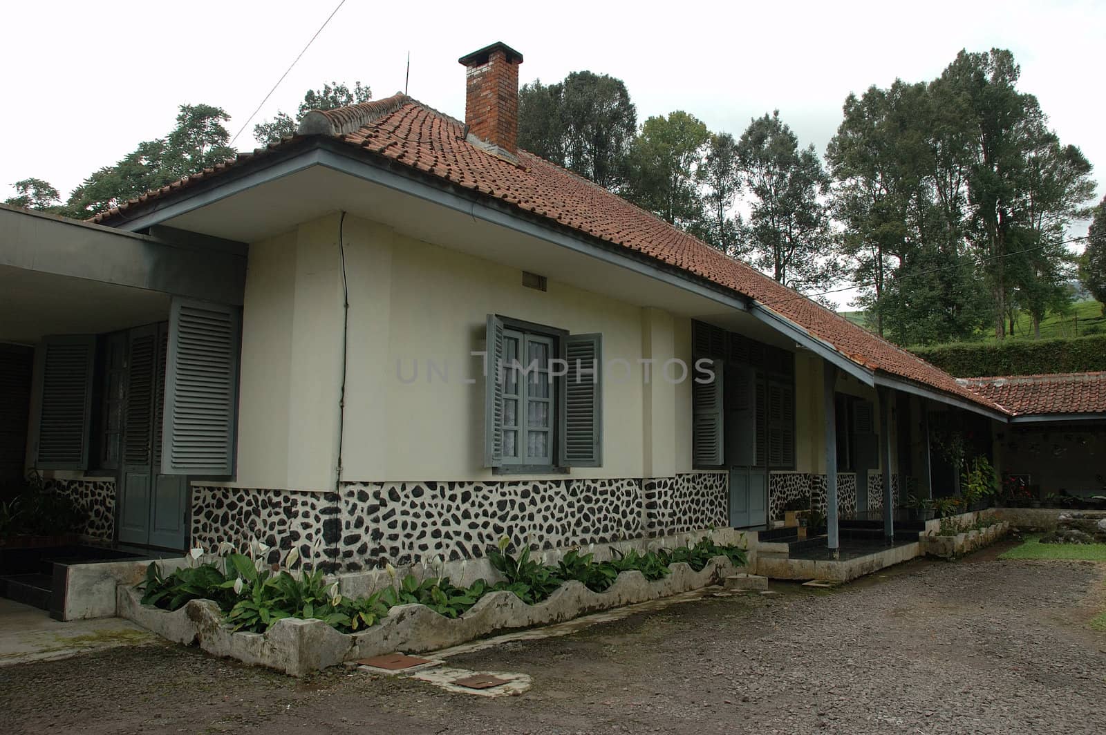 villager house in patuha tea plantation, west java-indonesia