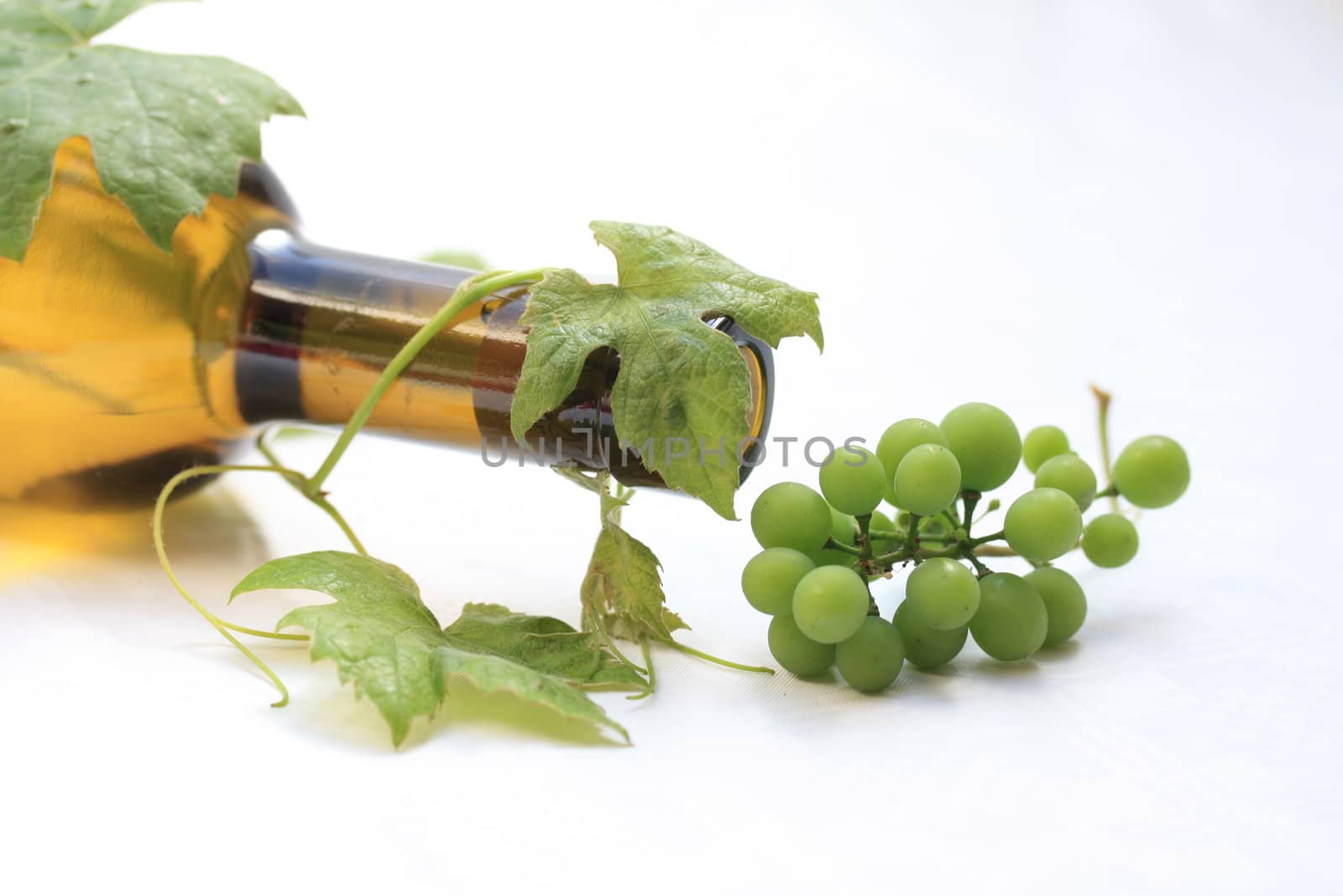 Bottle and grape leaves