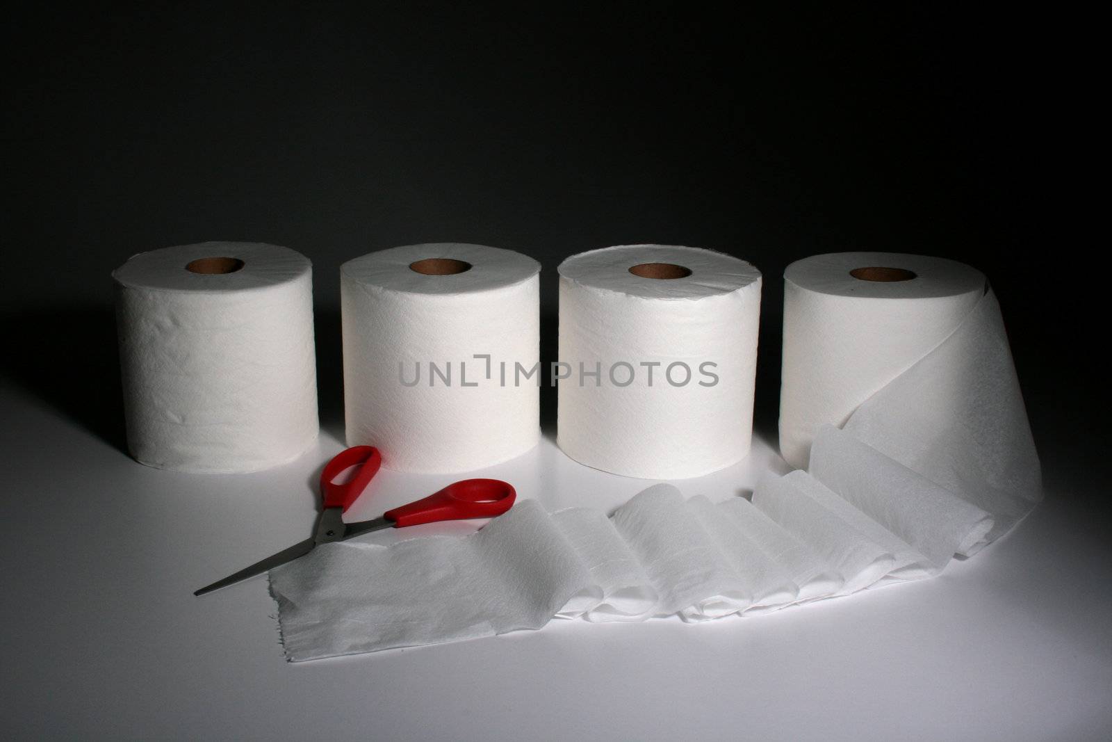 Toilet rolls by VIPDesignUSA