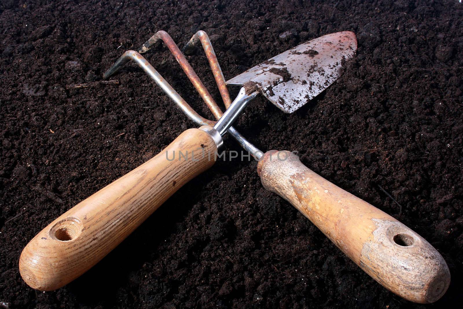 Small rake for processing of soil and a shovel for work on a personal plot.