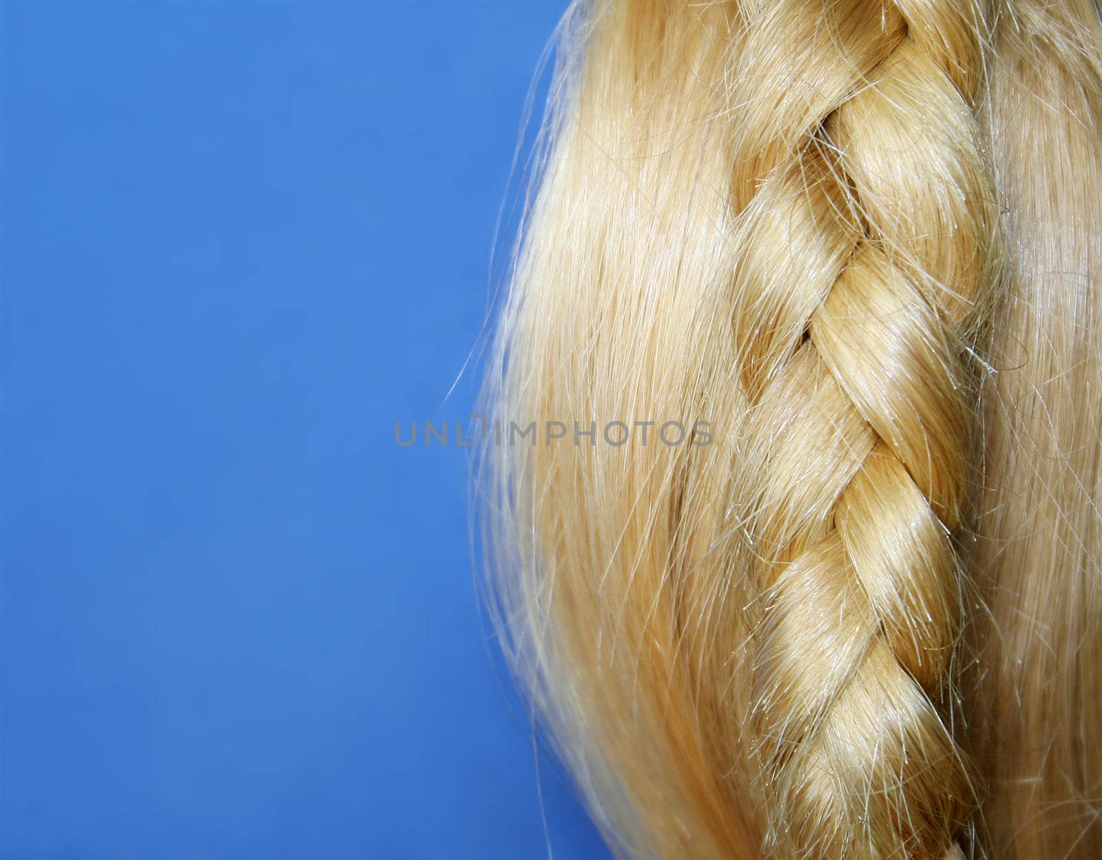 Shiny blond hair and plait against blue. Focus on plait. Copyspace.