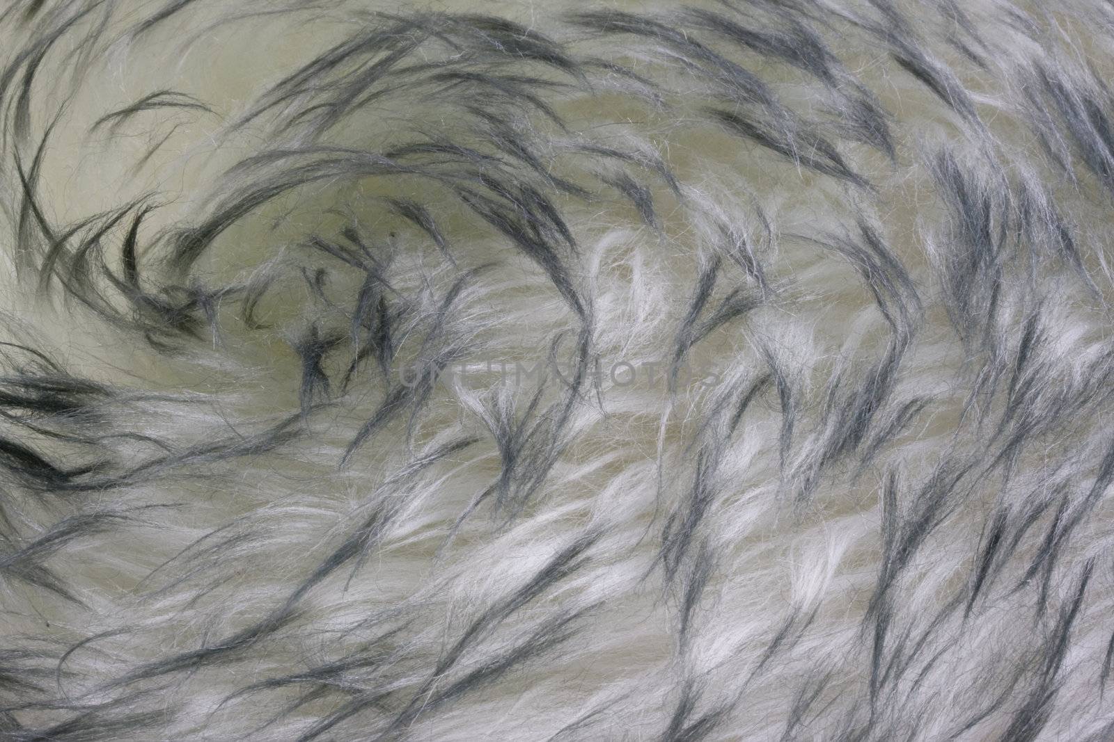 fur background - Australian lambskin macro with a vortex pattern
