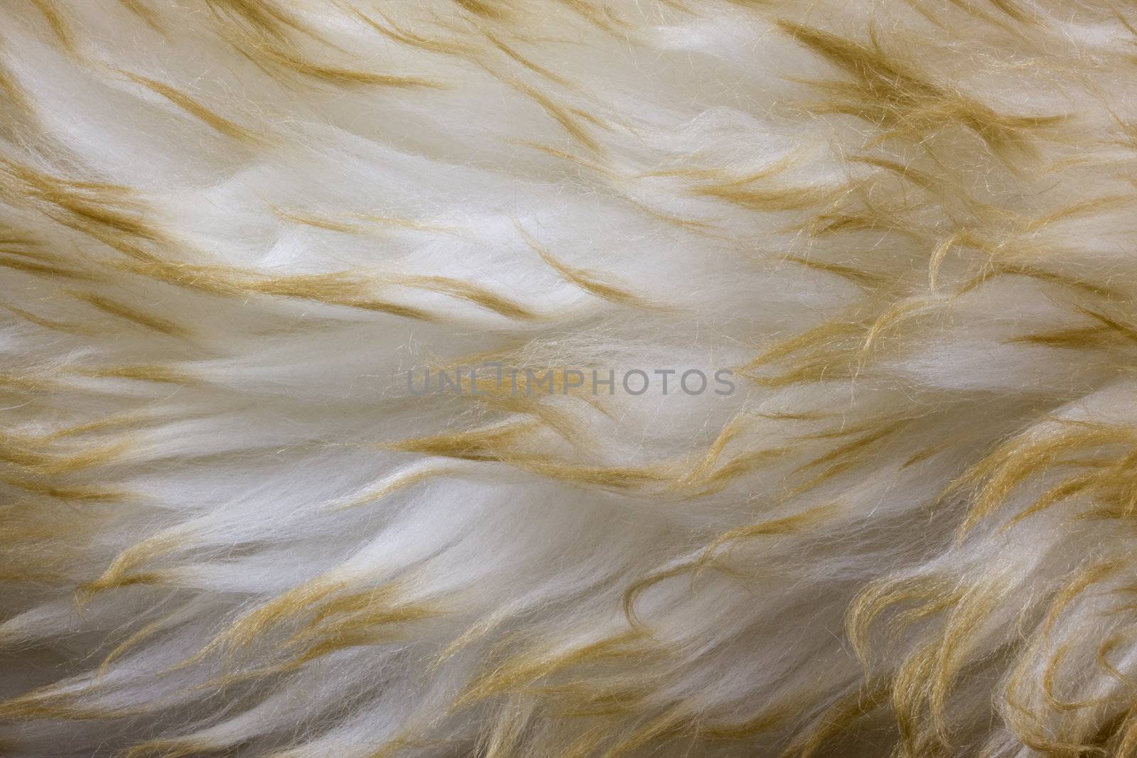 fur background - macto of Australian lambskin macro a wavy pattern