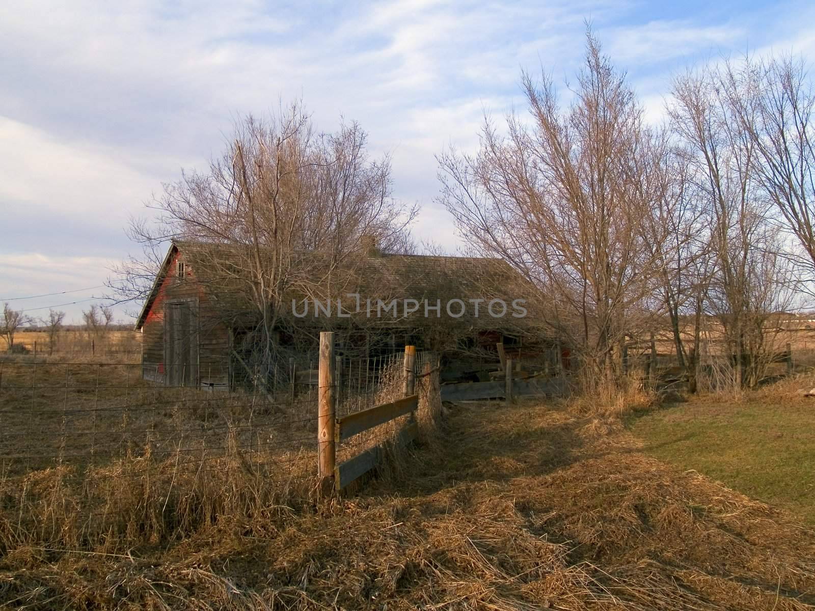 An old hog barn near Mitchell South Dakota