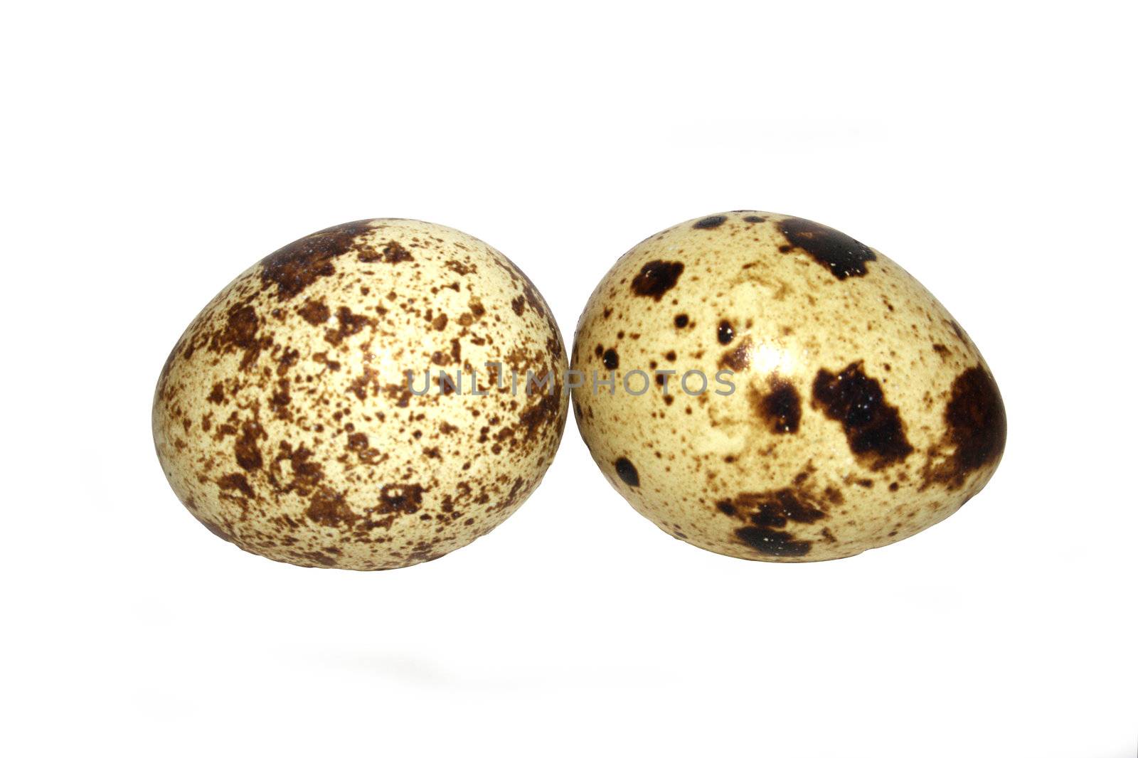 two quail eggs, isolated on white