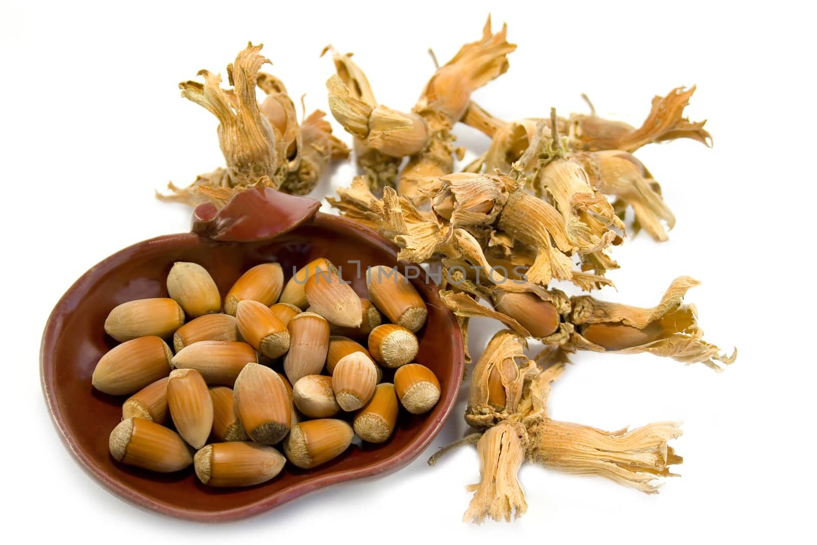 hazelnuts isolated on white background