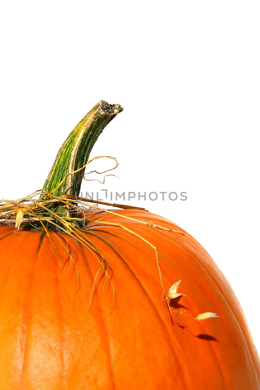 Closeup of pumpkin with bits of straw on white