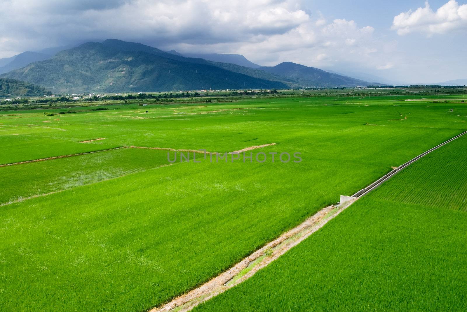 It is a beautiful landscape of green farm with blue sky and white clouds.