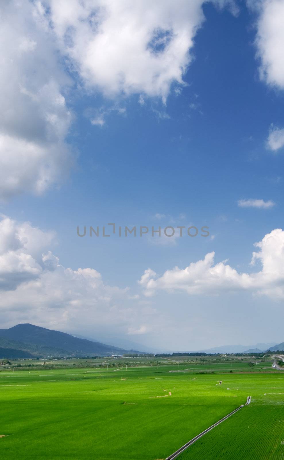 It is a beautiful landscape of green farm with blue sky and white clouds.