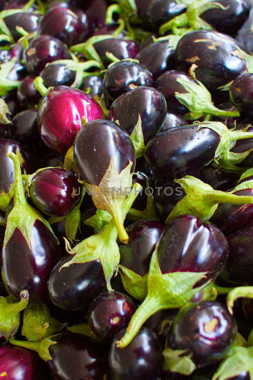 Pile of Eggplants b by bobkeenan