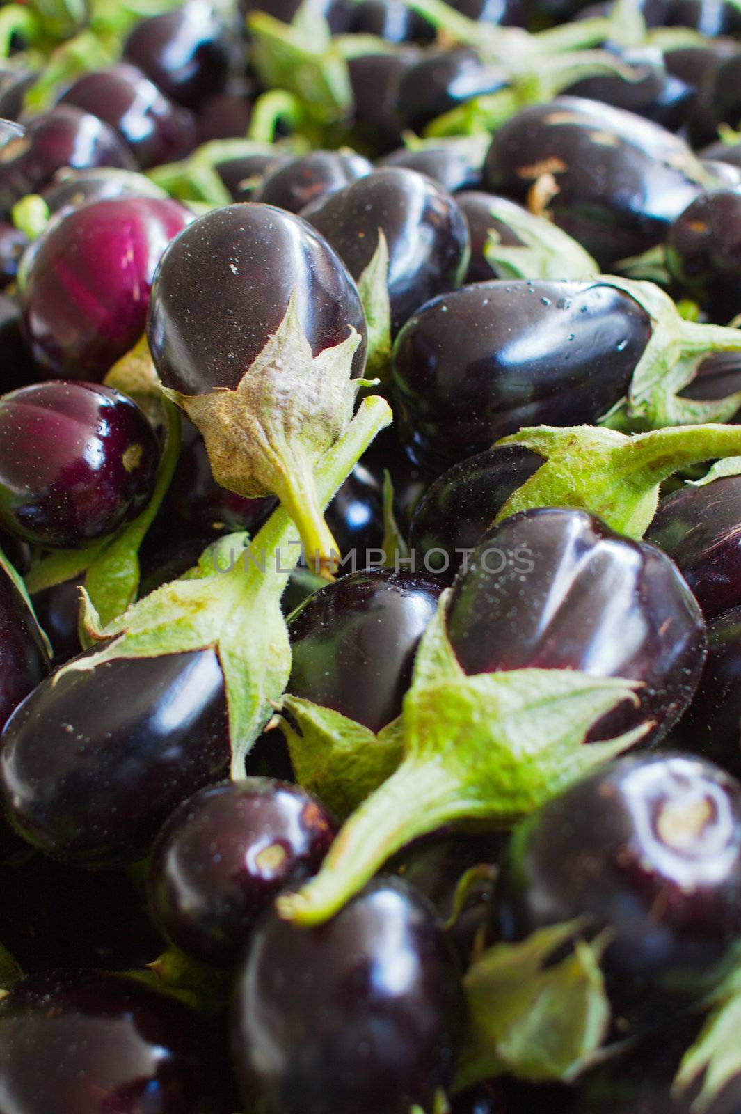 Pile of Eggplants by bobkeenan