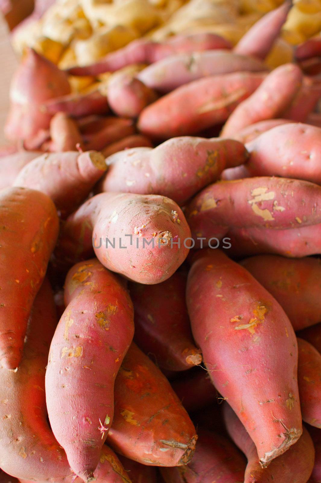 a big pile of orange and golden sweet potatoes at the farmers market