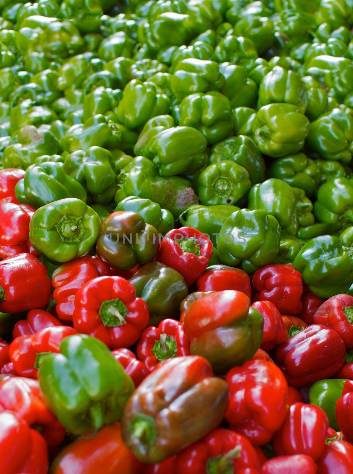 Red and green peppers in a big pile at the farmers market
