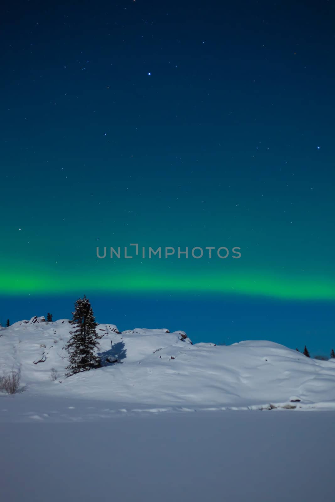 Northern Lights (Aurora borealis) over moon lit snowscape of frozen lake and forested hills.